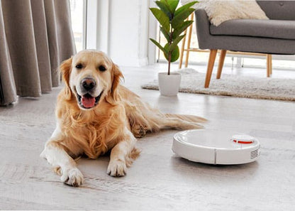 რობოტი მტვერსასრუტი: Dreame Robot Vacuum D10 Plus (RLS3D), D10 Plus- ITGS